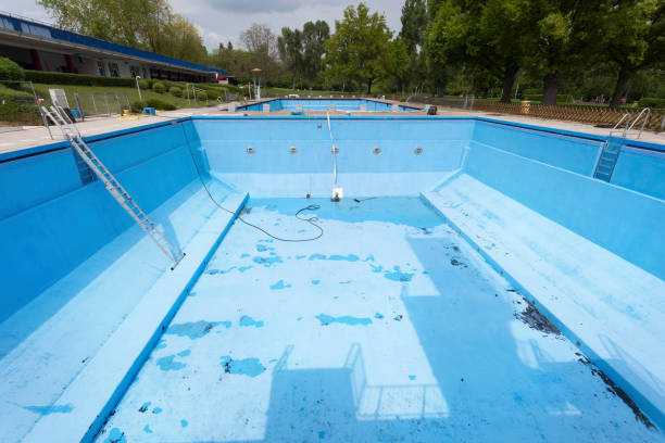 Best Water damage cleanup near me  in Shingle Springs, CA