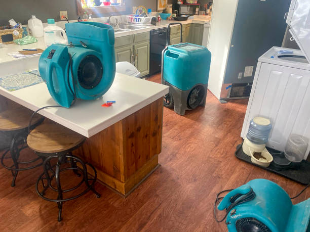 Best Professional water damage repair  in Shingle Springs, CA