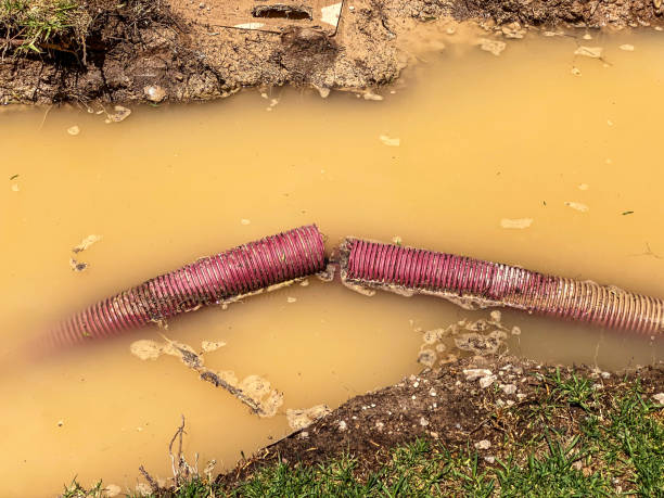 Best Carpet water damage restoration  in Shingle Springs, CA