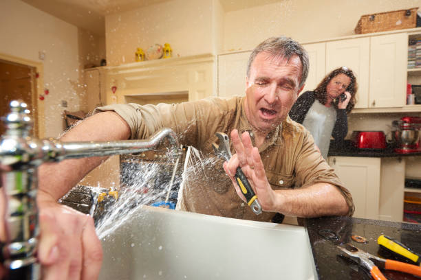 Best Water damage restoration experts  in Shingle Springs, CA